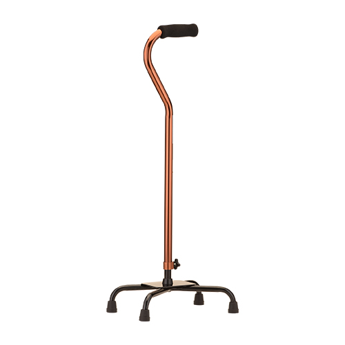 A cane that is standing up on the ground.