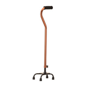 A cane that is standing up on wheels.